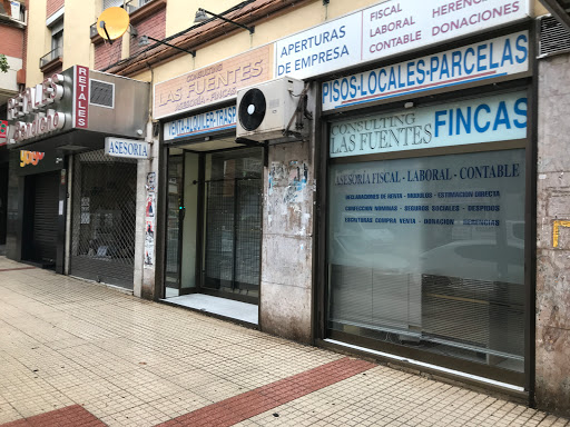 Consulting Las Fuentes
