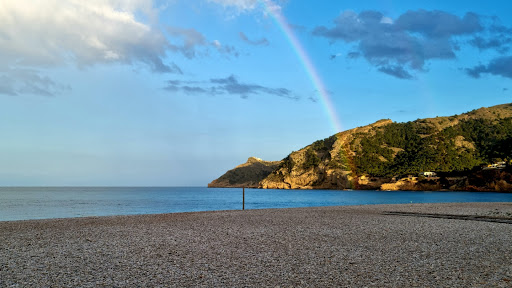 Notaria de Alfàs del Pi - Albir