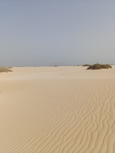 Registro de la Propiedad de Puerto del Rosario Nº 01